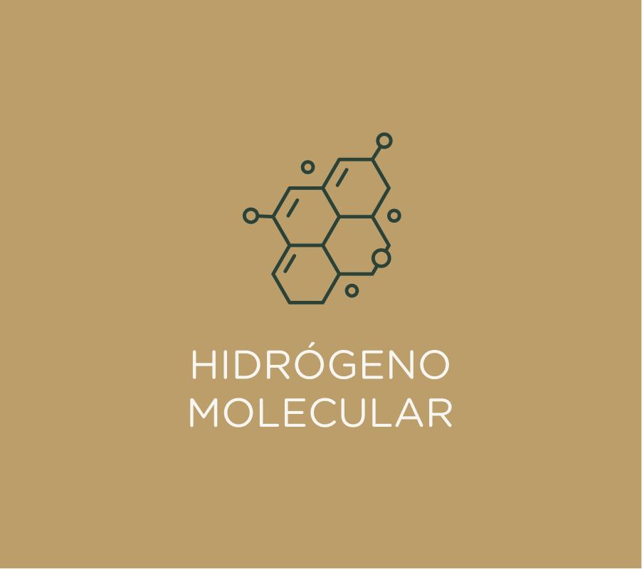 Hidrógeno molecular